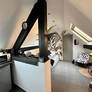 Studio Chaleureux Hypercentre Amiens