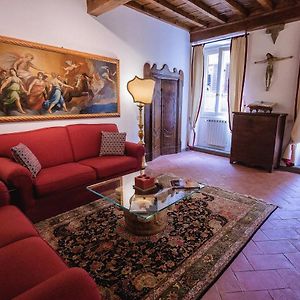 Acacia Firenze - Adelfa