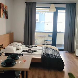 Super Cozy & Central Apartment