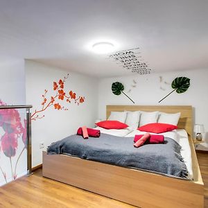 Appartement à 1 Chambre à Coucher