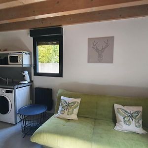 Le 30 - Duplex En Rez-De-Jardin Proche Du Centre
