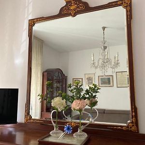 Maison 1 Chambre