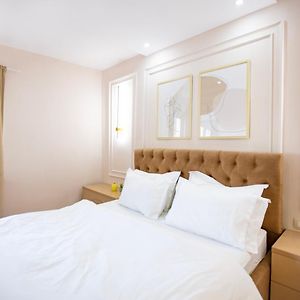 Tirana Center Modern App - The Nest