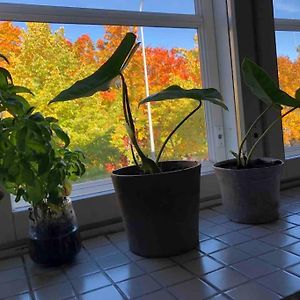 Toukola Helsinki 60 M2 Apartment. Mi Casa Tu Casa
