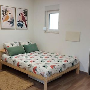 Cozy Studio In Central Lisbon