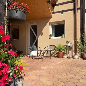 Zewwelatreppler - La Grange aux Petits Oignons - Chambre Rainette