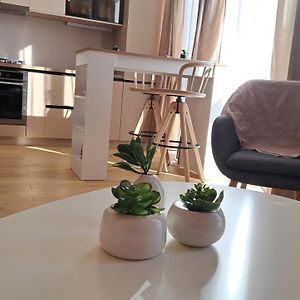 Appartement de Luxe à 1 Chambre à Coucher