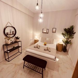Cactus Luxury Suite2