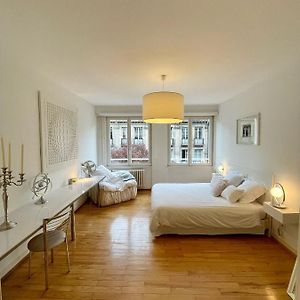 Appartement Hyper Centre Place Kleber 66 M2