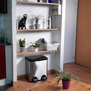 Appartement à 1 Chambre à Coucher