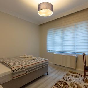 In The Centre Of Taksim And Galataport 3 Bedrooms In Apartment