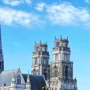 Superbe Appartement En Coeur De Ville