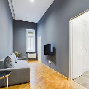 Gray Stylish Central Apartment
