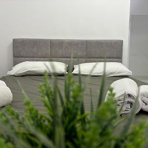 Center, Selvia White Apartment