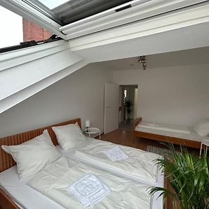 Gardenapartment