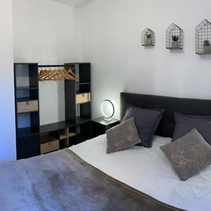 Lumineux Appartement Capitole Plein Centre