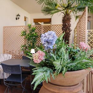Casa Silvia - Honeymoon Flat With Green Terrace