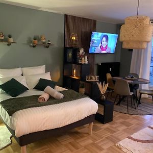 Appartement Bien Placée Et Vue Dégagée A Strasbourg