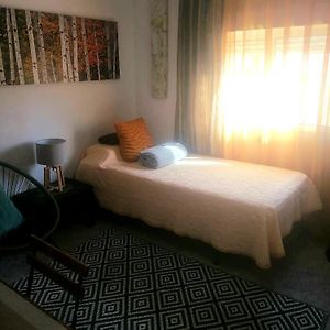 Chambre Grande Simple