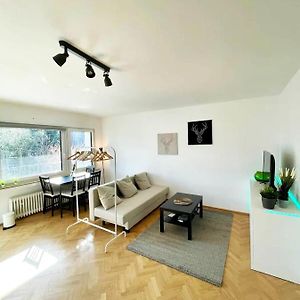 Cozy Apartment With Kitchen + Balcony New!