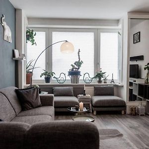 Nice 2 Double Bed In Sunny House In Amsterdam West