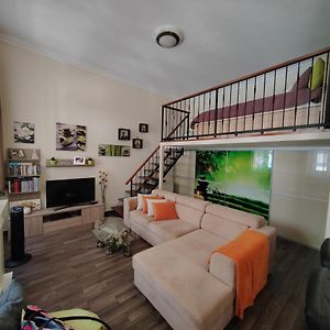 Hermes Apartament