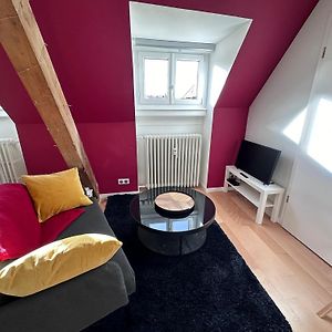 Les Toits De Gutenberg