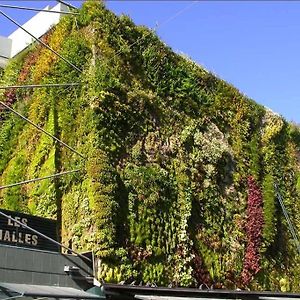 Le Felix- Ancien Hotel Particulier Dans L'Hyper Centre