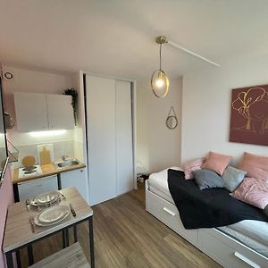Rose, Studio Proche Centre Ville