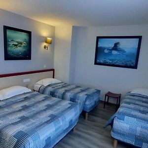 Chambre Quadruple