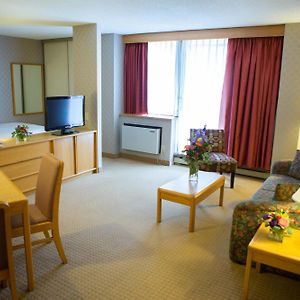 Suite Studio Exécutive