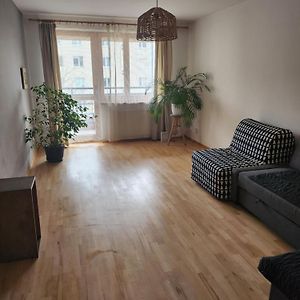 Suite Standarde
