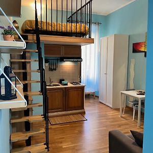Studio de Luxe Lit King-Size