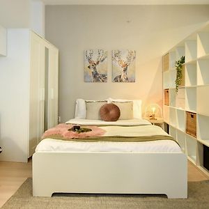 Bucharest'S Heartbeat - Cozy Studios On Smardan Street