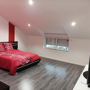 Loft Atypique Et Chaleureux