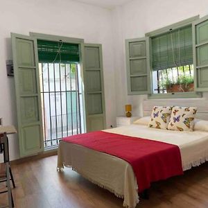 Appartement Studio