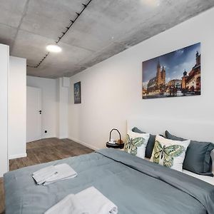 New Place Next To Vistula & Wawel Castle
