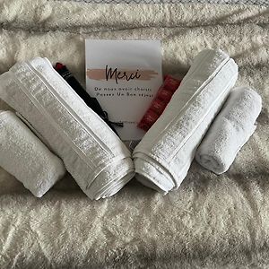 Appartement Luxueux Au Coeur De Lille