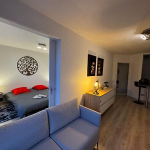 Appartement à 1 Chambre à Coucher