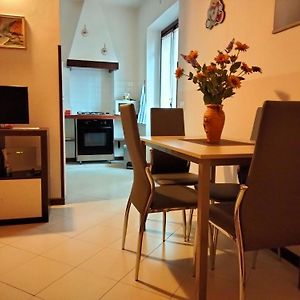 Magnolia - Large And Comfortable Studio Flat