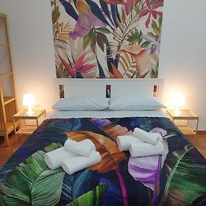 Maison 1 Chambre