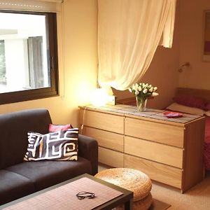 Studio Lit King-Size
