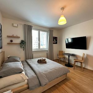 Cozy Studio Apartment In The Wider Center