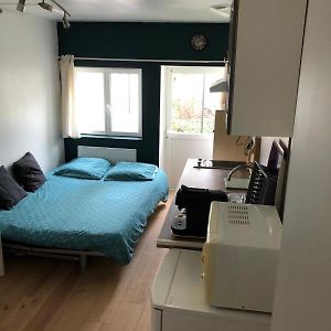 Studio Lit Queen-Size