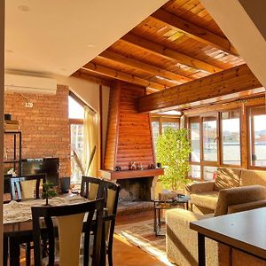 Skyview Oasis Premium Apartment