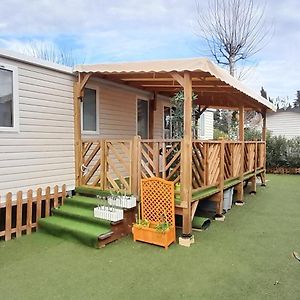 Mobile Home