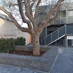 Xzllenz Traum Studio-Apartment, Frei-Parken, U-Bahn, Kueche