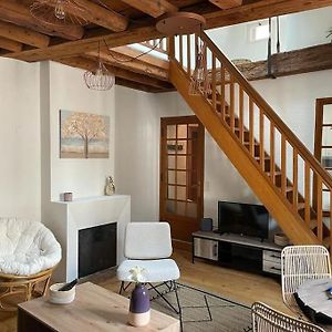 Le Duplex De La Reine - T3 Cosy Au Coeur De Chambery