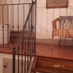 Romana Home