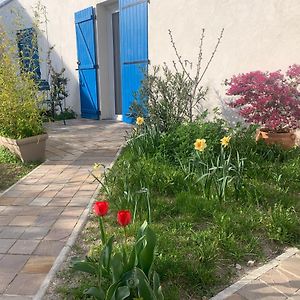 Maisonnette De Jardin